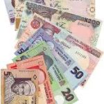 Nigerian Naira Notes